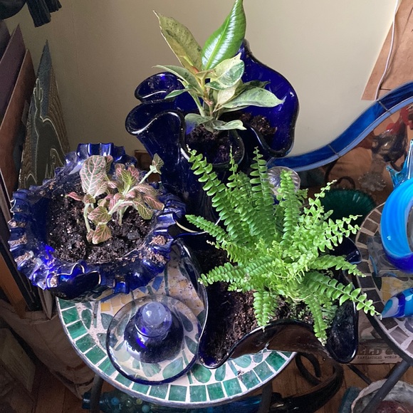 Meet your Posher, Ann - Picture 9 of 17